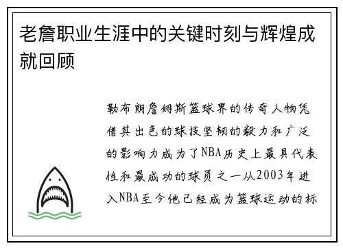 老詹职业生涯中的关键时刻与辉煌成就回顾
