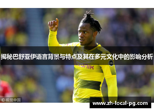 揭秘巴舒亚伊语言背景与特点及其在多元文化中的影响分析